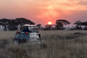 homme conduisant une voiture grise au coucher du soleil