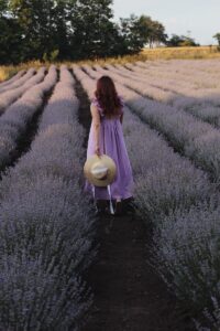 Femme en robe violette se promenant dans des champs de lavande pittoresques au crépuscule.