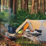 camping nature
